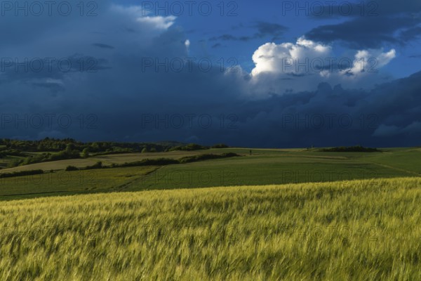 Dramatic cloudy sky with approaching storm and last rays of sunshine, Frankenhain, dark cloud wall, cumulonimbus and cumulus clouds, thunderstorm in the lift, low mountain landscape, agriculture, forest, grain field, backlight shot, municipality of Berkatal, Werra-Meissner-Kreis, Hesse, Germany