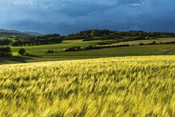 Dramatic cloudy sky with approaching storm and last rays of sunshine, Frankenhain, dark cloud wall, thunderstorm in the lift, low mountain landscape, agriculture, forest, grain field, backlight shot, municipality of Berkatal, Werra-Meissner-Kreis, Hesse, Germany