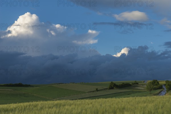 Dramatic cloudy sky with approaching storm and last rays of sunshine, Frankenhain, dark cloud wall, cumulonimbus and cumulus clouds, thunderstorm in the lift, low mountain landscape, agriculture, forest, grain field, backlight shot, country road, municipality of Berkatal, Werra-Meissner-Kreis, Hesse, Germany