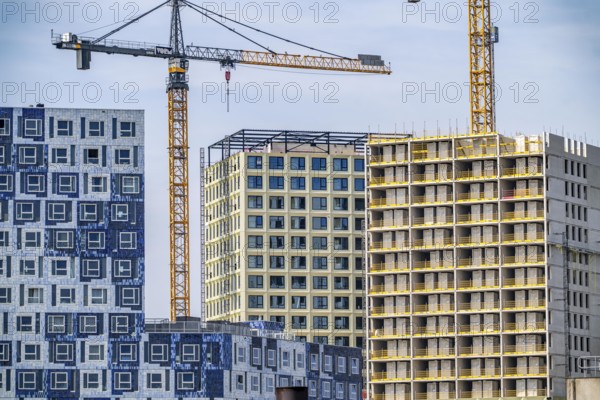 Construction of over 920 student flats at Cambridgelaan in the Science Park, University of Utrecht, High Five building, modular construction, all components, including the interior fittings with wet rooms, are prefabricated and assembled just in time on site, 20% cost savings and 50% shorter construction time, on the left the already completed Johanna hall of residence, with facade in tiled design, with over 650 student rooms, flats, Netherlands