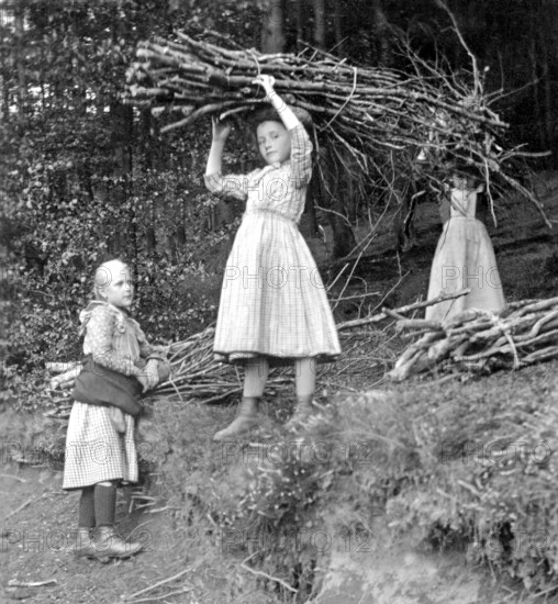 Three children fetching wood from the forest, 1920s, Girls in the forest, one of them carrying wood on her head, Scenes of rural life, Historical photo