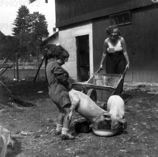 Pig feeding, 1930s, children feeding pigs on a rural farm, a woman looks on, rural atmosphere, historical photo