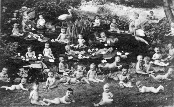 Naked babies in paradise, 1910s, Many babies in a lake with lotus flowers, surrounded by grass, in a vintage photograph, Historical photograph