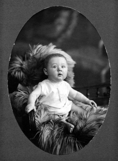 Baby fur, 1910s, A baby sits attentively on a fur-covered chair, historical photo