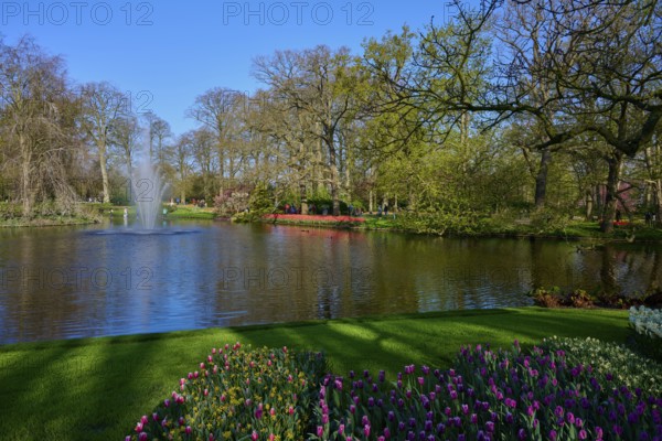 An idyllic park with a pond surrounded by flowers and trees, Keukenhof, Lisse, province of South Holland, Netherlands