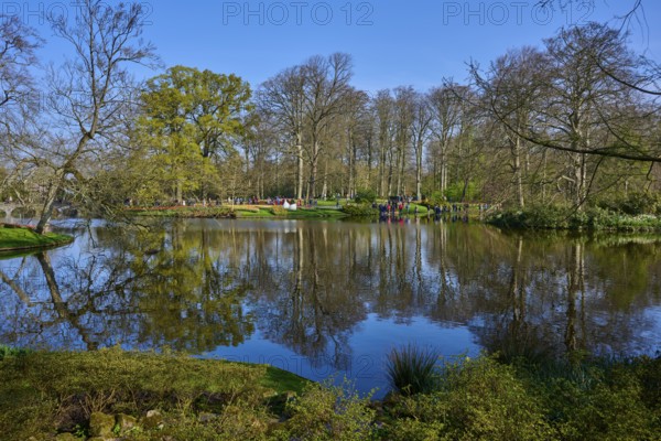 A peaceful park with a large pond in which the trees are reflected, Keukenhof, Lisse, province of South Holland, Netherlands