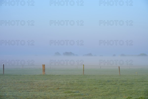 A misty meadow with scattered fences creates a peaceful morning atmosphere, Sassenheim, province of South Holland, Netherlands