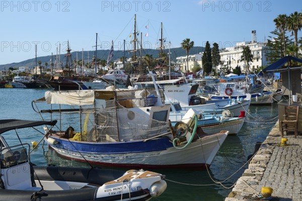 Various fishing boats are anchored in the popular harbour, Harbour, Kos Town, Kos, Dodecanese, Greek Islands, Greece