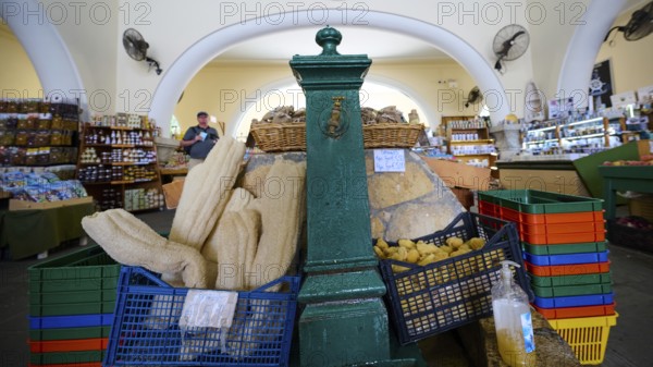 Colourful market with food baskets and fans in a vaulted room, water point, market hall, Agora, Kos Town, Kos, Dodecanese, Greek Islands, Greece