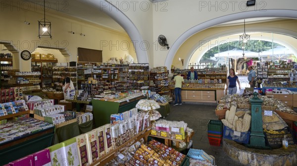 Interior view of a market with abundant produce and large arched windows, Market Hall, Agora, Kos Town, Kos, Dodecanese, Greek Islands, Greece
