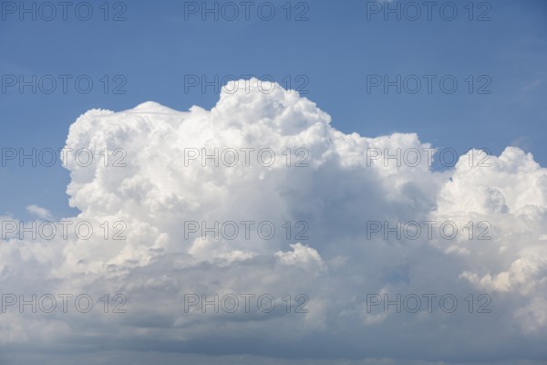 Auftürmende Cumulonimbuswolke, Gewitterwolke, aufziehendes Unwetter mit Hagelsturm über der Schwäbischen Alb, Formatfüllend, Landkreis Sigmaringen, Baden-Württemberg, Deutschland