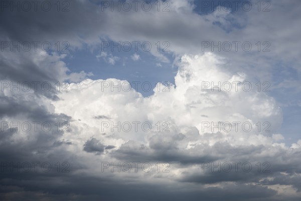 Dramatische Wolkenformation vor einem Sommergewitter, aufziehendes Unwetter, Extremwetter, Cumulonimbuswolke, Gewitterwolke, formatfüllend, Baden-Württemberg, Deutschland