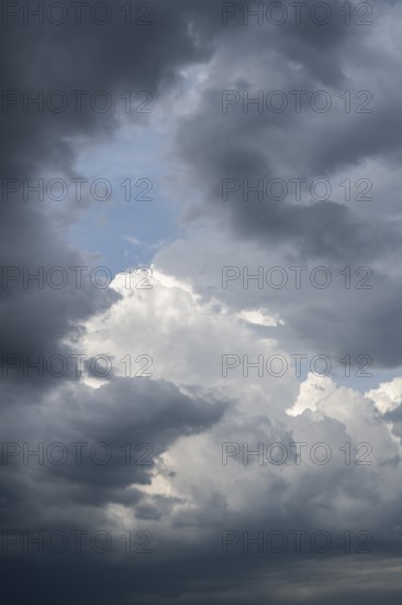 Dramatische Wolkenformation vor einem Sommergewitter, aufziehendes Unwetter, Extremwetter, Cumulonimbuswolke, Gewitterwolke, formatfüllend, Baden-Württemberg, Deutschland