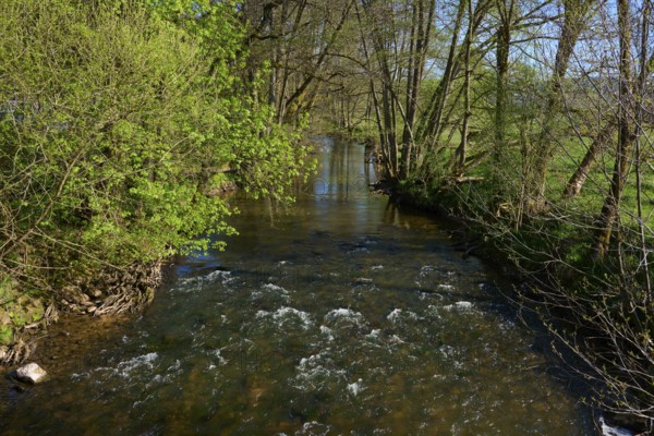 A gentle river flows through a green forest landscape in spring, Spring, Jossa, Sinntal, Spessart, Hesse, Germany