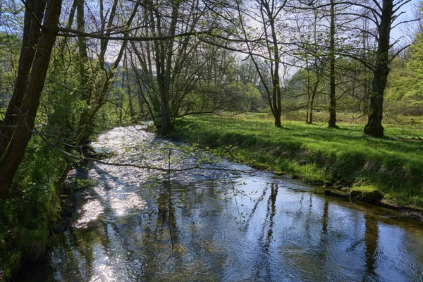 Sunbeams fall on a flowing river between trees in the forest, spring, Jossa, Sinntal, Spessart, Hesse, Germany