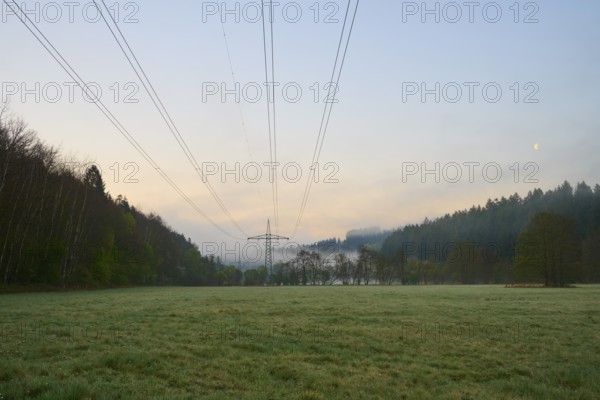 Power lines over a meadow at dawn with forest in the background, spring, Jossa, Sinntal, Spessart, Hesse, Germany