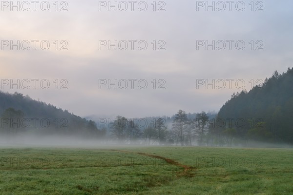 Morning fog over a meadow with trees in the background, quiet and peaceful atmosphere, spring, Jossa, Sinntal, Spessart, Hesse, Germany