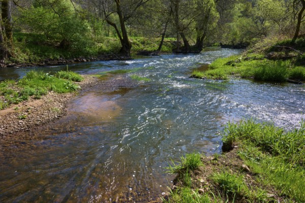 Gently flowing river SInn through a green and peaceful landscape surrounded by trees, spring, Burgsinn, Sinntal, Spessart, Bavaria, Germany
