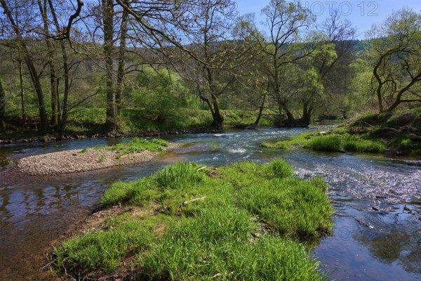 The river Sinn meanders through a green, wooded landscape under a clear sky, spring, Burgsinn, Sinntal, Spessart, Bavaria, Germany