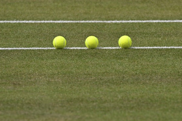 Three tennis balls lying on the grass, Tennis, ATP 250, BOSS Open 2025, Stuttgart, Baden-Württemberg, Germany