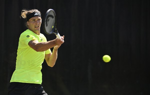 Alexander Zverev GER, Action, Tennis, ATP 250, BOSS Open 2025, Stuttgart, Baden-Württemberg, Germany