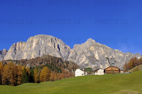 Farmhouses under the Sassongher, near Colfosco, Alta Badia, Val Badia, Dolomites, South Tyrol, Italy