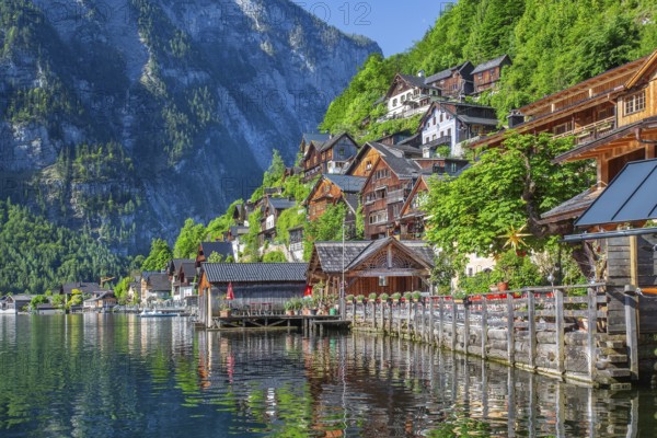 Houses on the steep bank above the lake, Hallstatt, Lake Hallstatt, UNESCO World Heritage Site, Salzkammergut, Upper Austria, Austria