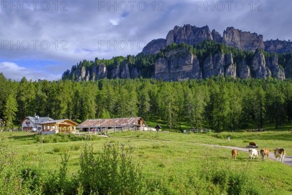 Rifugio Malga Lareto, el brite de Larieto, Cortina d'Ampezzo, Dolomites, Veneto, Italy