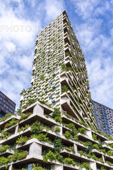 Wonderwoods residential tower, one of 2 green buildings, in Utrecht in the new Healthy Urban Quarter, at the central station, 105 metres high with 30 floors, Tower II, over 360 trees and over 9600 shrubs and flowering plants native to the region, all irrigated with collected rainwater, sponge city principle and monitored with sensors, Utrecht, Netherlands