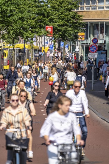 Central cycle path along the Vredenburg, in the city centre of Utrecht, lanes for pedestrians, cyclists and local traffic are separated, dense traffic, no car/truck traffic, Utrecht, Netherlands