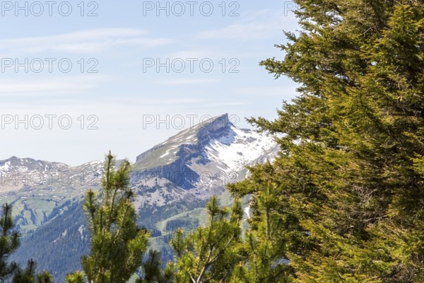 Snow-covered mountain peak of the Hoher Ifen and the Gottesacker plateau between dense coniferous forests in Kleinwalsertal, Austria