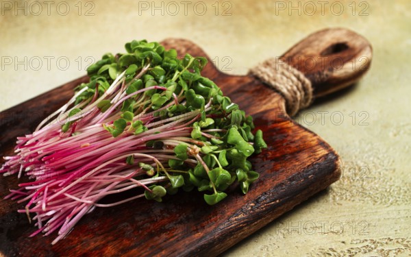 Fresh micro-greens, beetroot sprouts, on a wooden chopping board, top view, no people