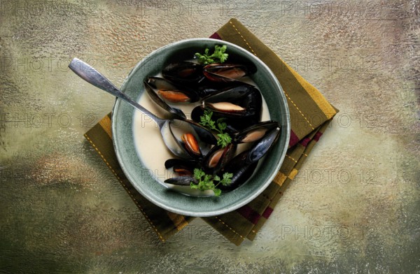 Mussels in shells, in creamy garlic sauce, mussels in bechamel sauce, homemade, no people