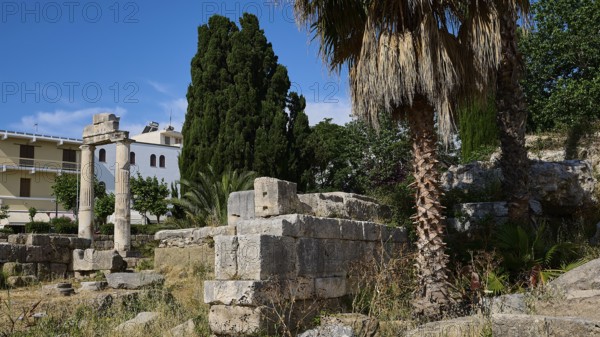 ©Udo Rein, Ancient columns and ruins, complemented by palm trees and surrounding vegetation, Temple of Heracles, Ancient Agora, Kos Town, Kos, Dodecanese, Greek Islands, Greece