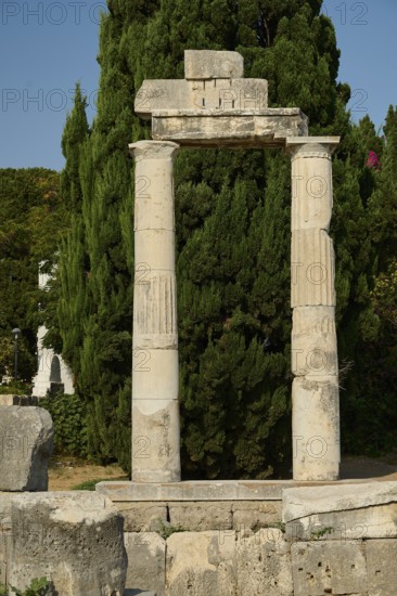 ©Udo Rein, Stone columns and ruins, surrounded by lush vegetation and a large tree, Temple of Heracles, Ancient Agora, Kos Town, Kos, Dodecanese, Greek Islands, Greece