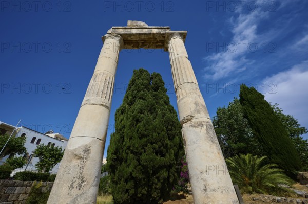©Udo Rein, Ancient stone columns in front of a bright blue sky and surrounded by tall trees, Temple of Heracles, Ancient Agora, Kos Town, Kos, Dodecanese, Greek Islands, Greece