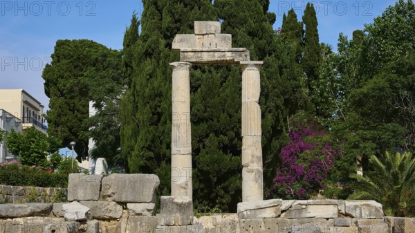©Udo Rein, Columned ruins against a backdrop of dense greenery and blossoming trees, Temple of Heracles, Ancient Agora, Kos Town, Kos, Dodecanese, Greek Islands, Greece