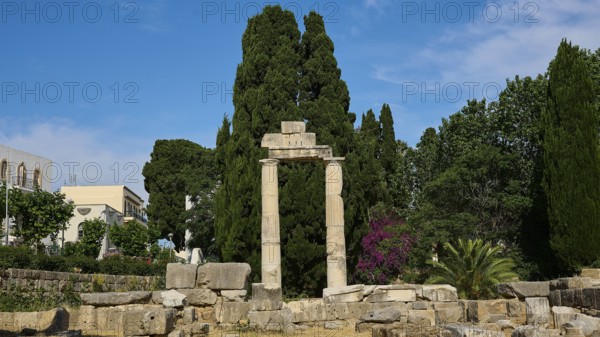 ©Udo Rein, Column ruins in a landscape of trees and blue sky with buildings in the background, Temple of Heracles, Ancient Agora, Kos Town, Kos, Dodecanese, Greek Islands, Greece