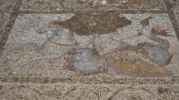 ©Udo Rein, Antique mosaic of a rider on a horse in colour pattern, water basin, Casa Romana, Kos Town, Kos, Dodecanese, Greek Islands, Greece