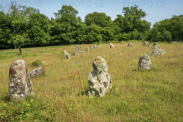 Stones in the shape of a ship in the Ängakåsen burial field from the Bronze Age in Kivik, Simrishamn municipality, Skåne county, Sweden, Scandinavia
