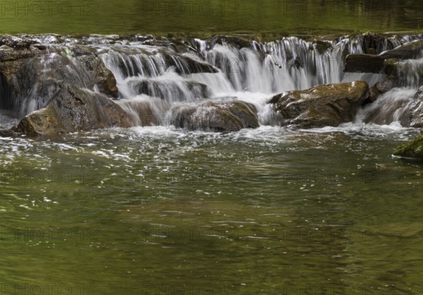Small waterfall, Wangauer Ache flows through a forest, Mondseeland, Salzkammergut, Upper Austria, Austria