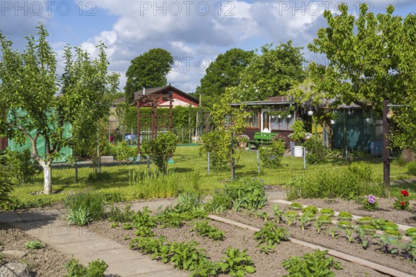 Garden house and fruit trees in allotment garden, allotment garden, garden, spring, Kamen, Ruhr area, North Rhine-Westphalia, Germany