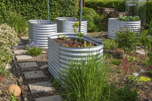 Raised beds with plants in the garden, spring, North Rhine-Westphalia, Germany