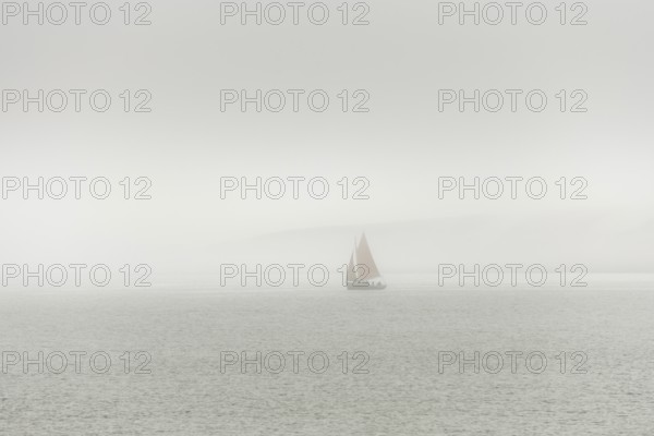 A sailing boat is travelling on the ocean on a cloudy day. The sky is overhanging and the water is calm. Camaret sur mer, Crozon, Finistere, Brittany, France
