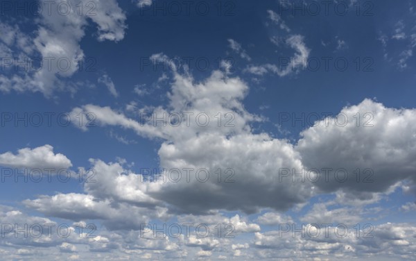 Cluster clouds (cumulus), Bavaria, Germany