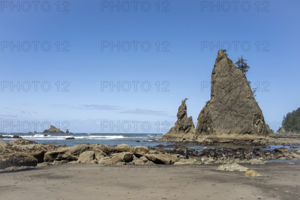 Large rocks protrude from a sandy beach against a clear blue sky, people walk along the shore, Rialto Beach, Olympic National Park, Washington, USA, North America