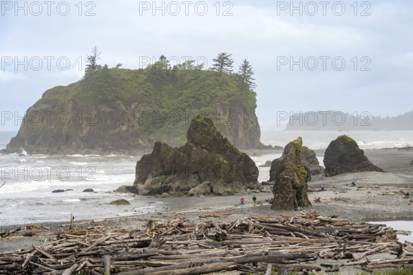 Rocks and driftwood on the beach under a cloudy sky with a small island in the background, Ruby Beach, Olympic National Park, Washington, USA, North America