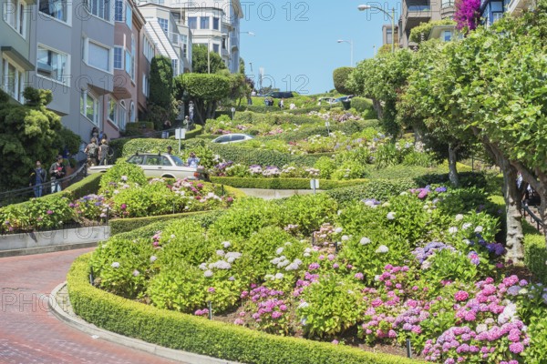 Lombard Street, San Francisco, California, USA