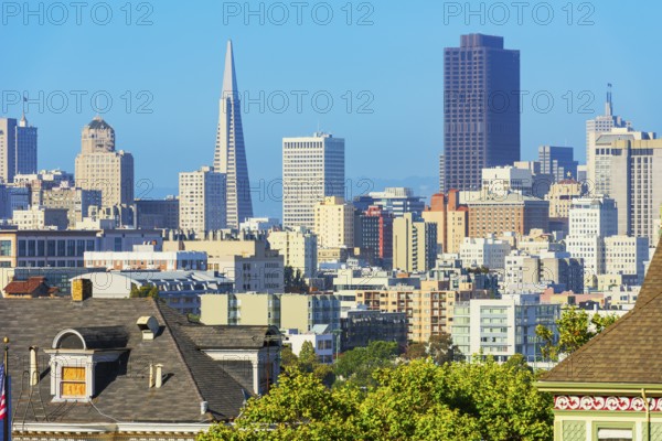 View of Downtown San Francisco skyline from Alamo Square, San Francisco, California, USA