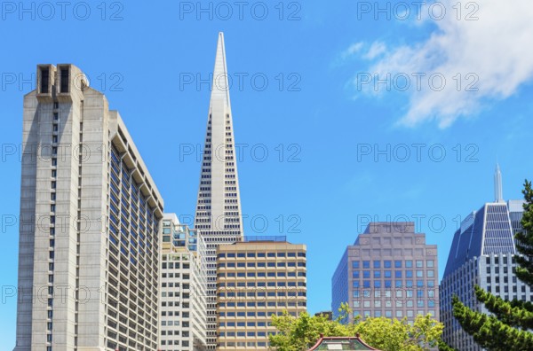 View of downtown financial district seen from Portsmouth square, San Francisco, California, USA